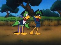 Click to watch 'The Count and the Pauper...' (popup) Count Duckula